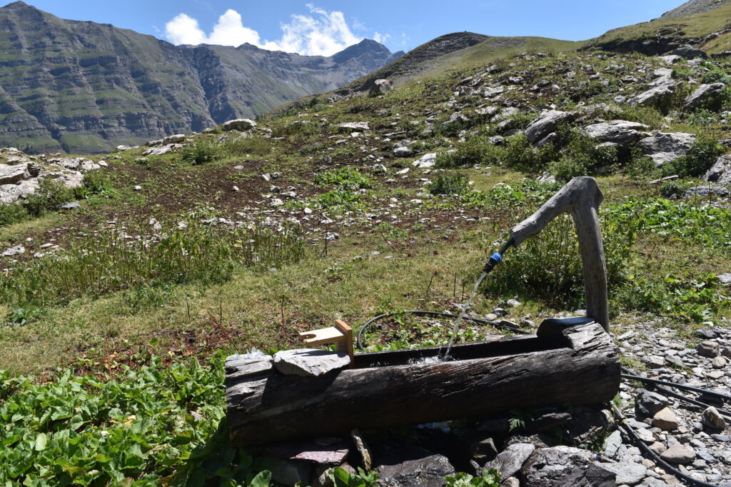 Cabane de Palluel