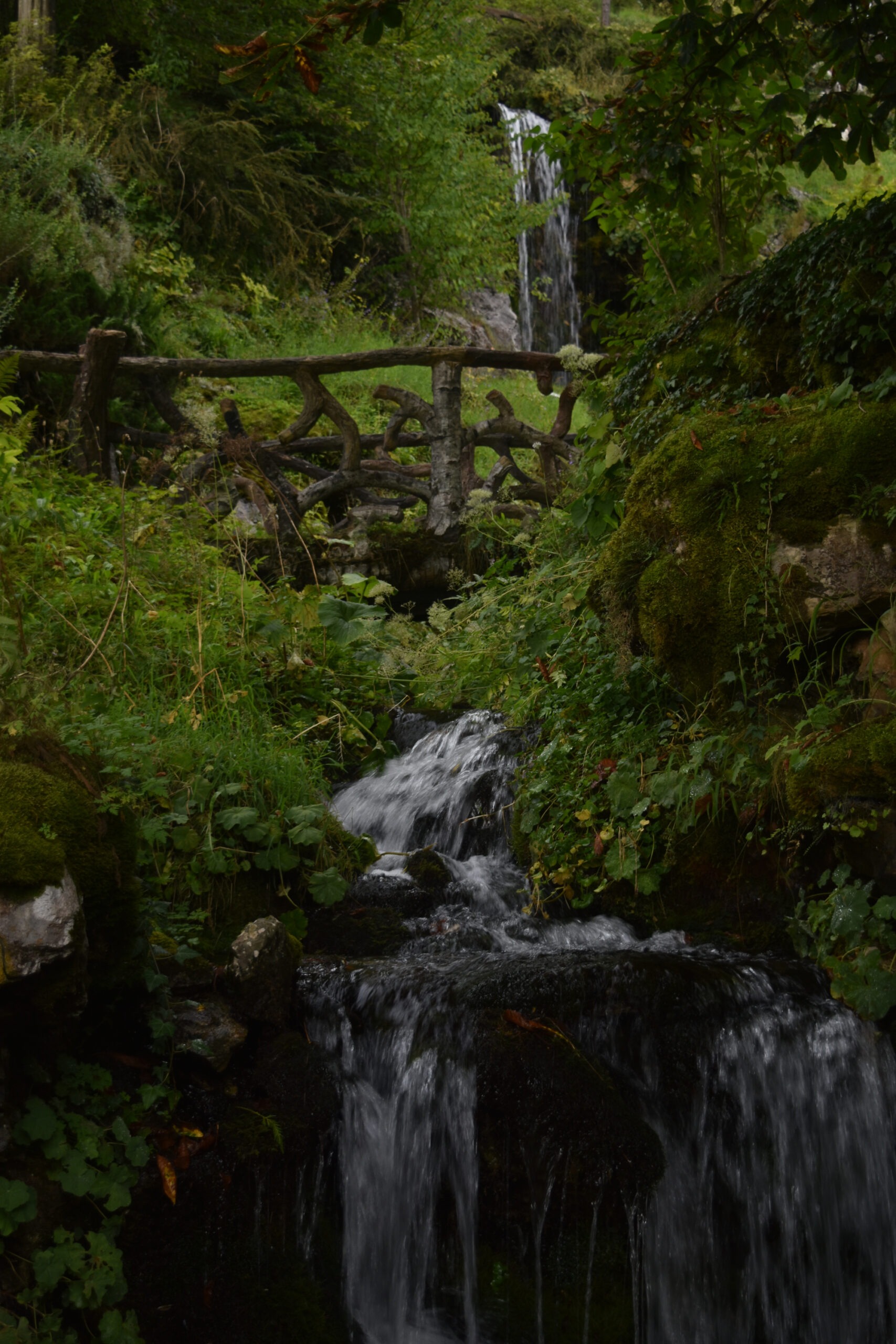 Jardin botanique alpin de la Jaÿsinia