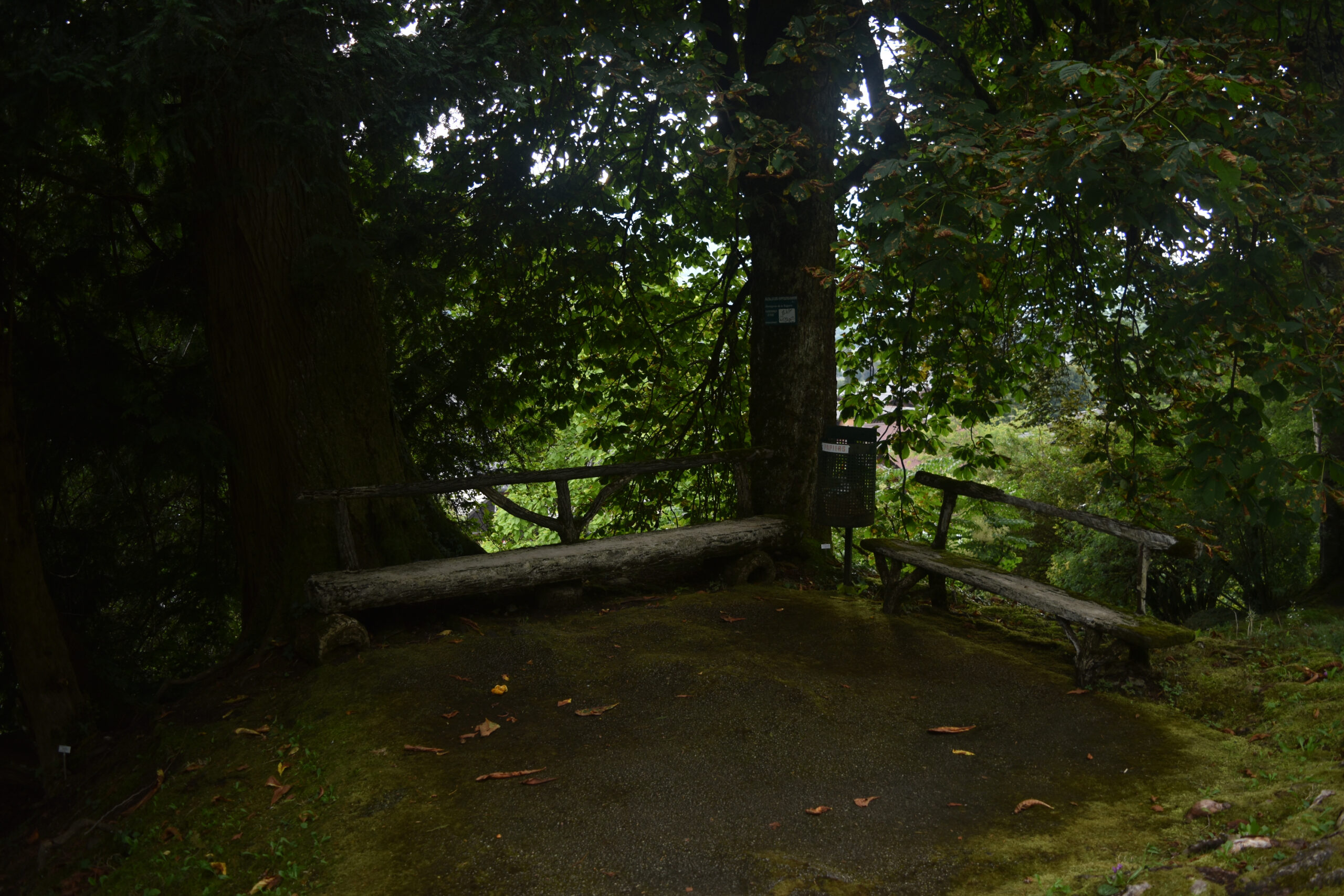 Jardin botanique alpin de la Jaÿsinia