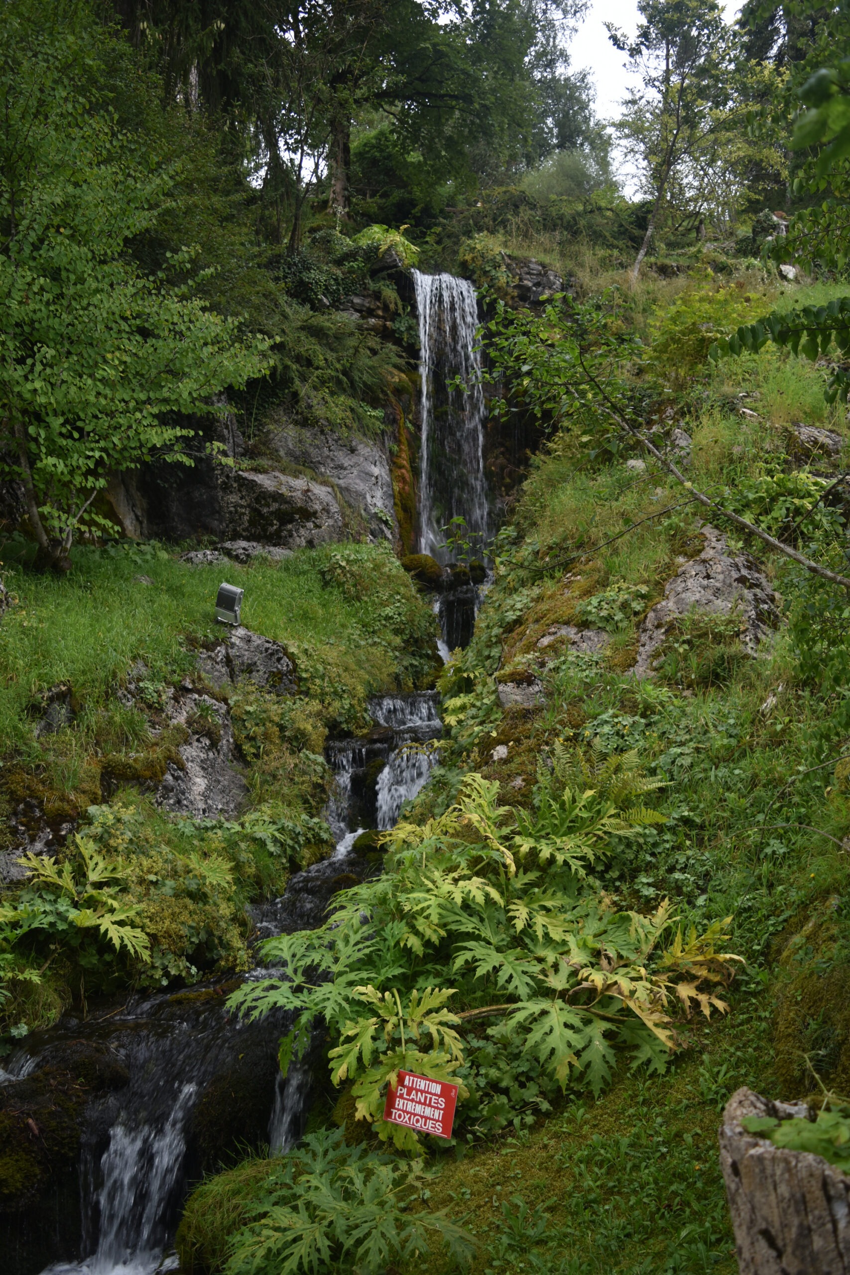 Jardin botanique alpin de la Jaÿsinia