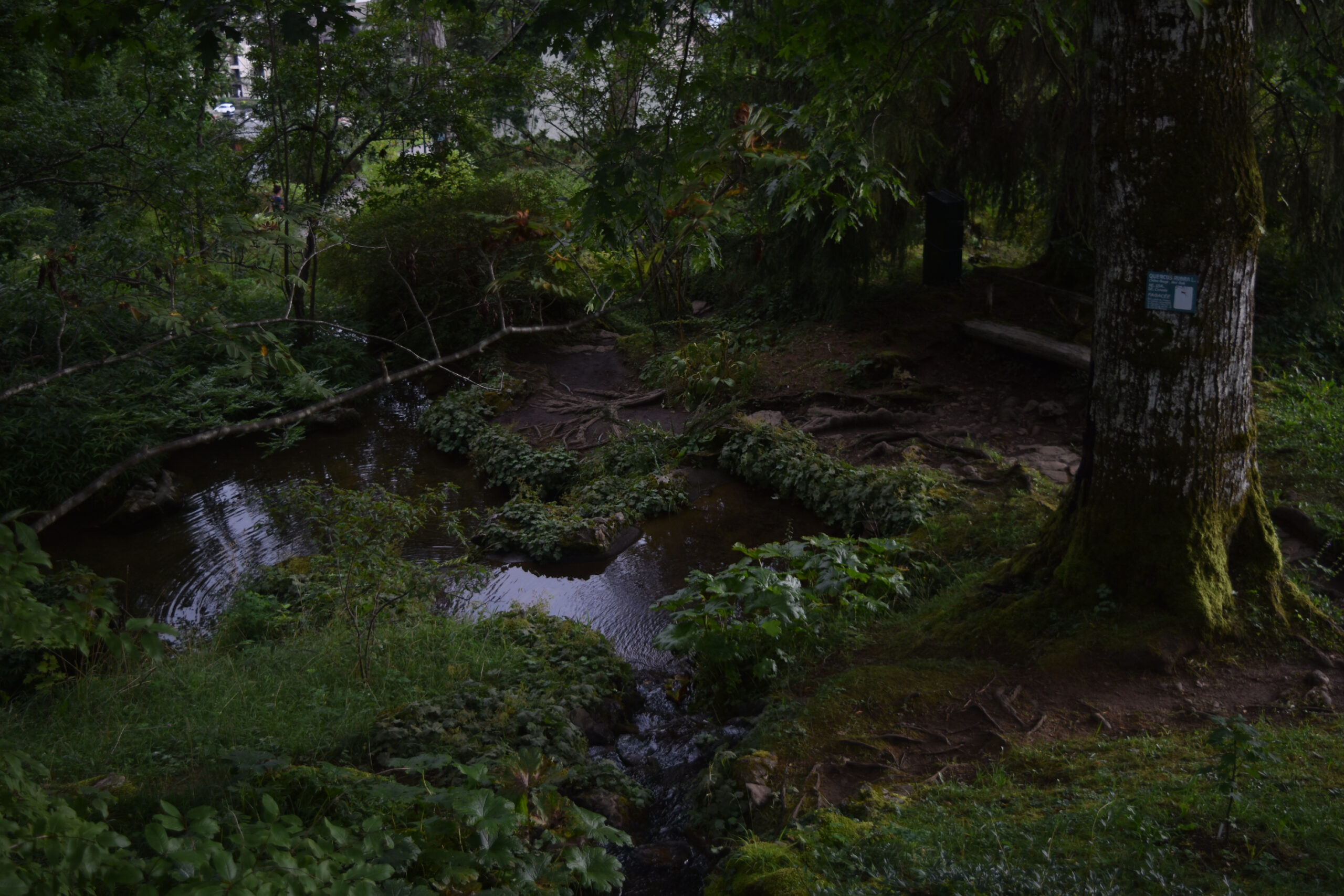 Jardin botanique alpin de la Jaÿsinia