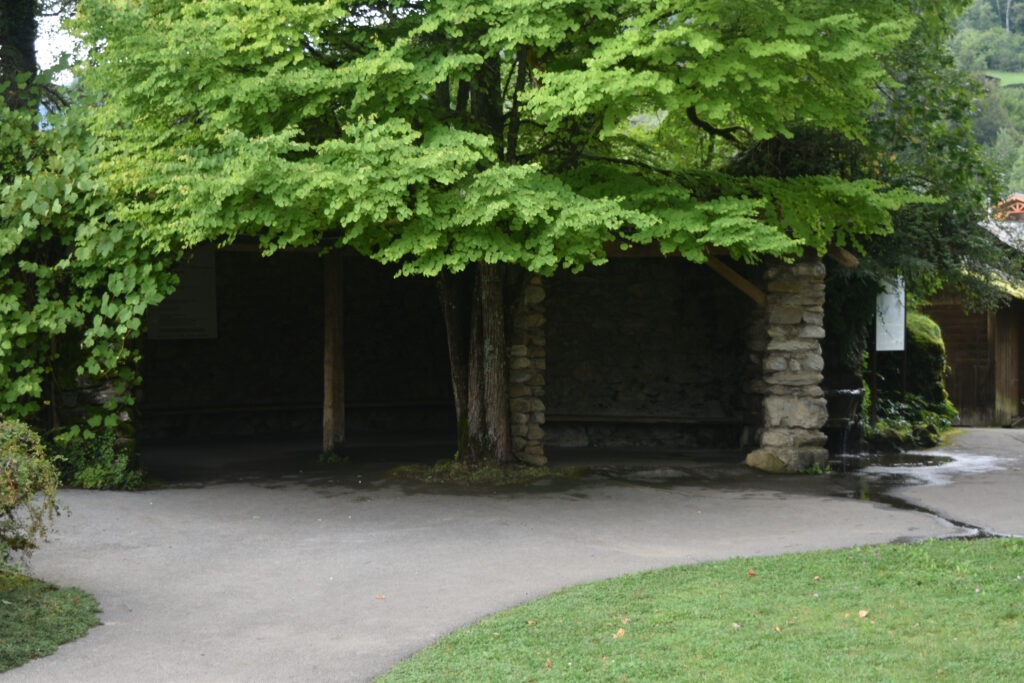 Jardin botanique alpin de la Jaÿsinia