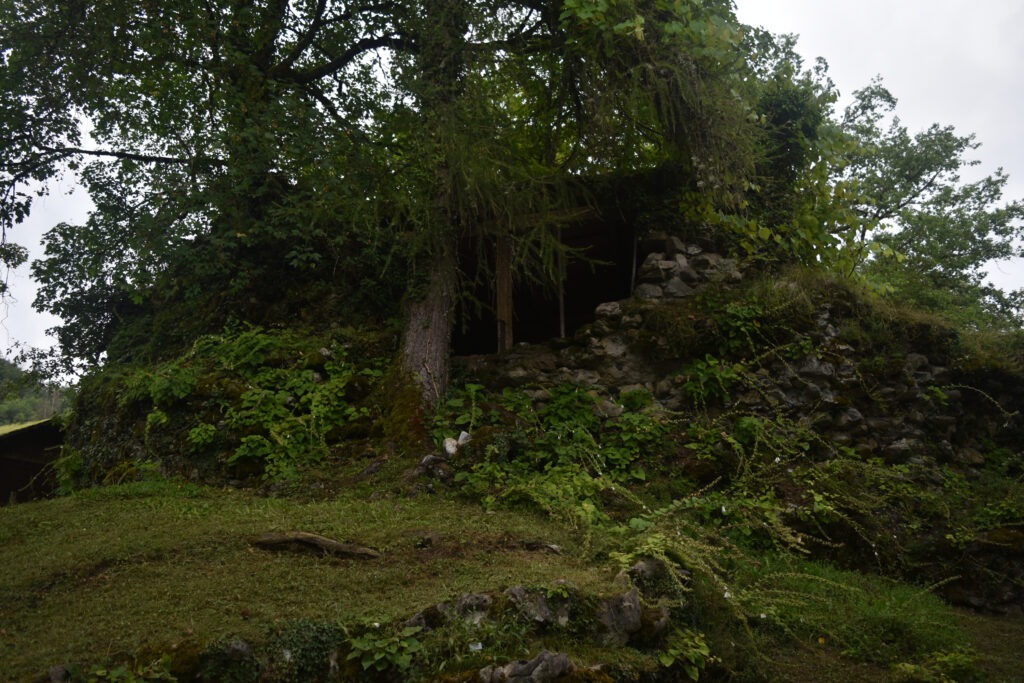 Jardin botanique alpin de la Jaÿsinia