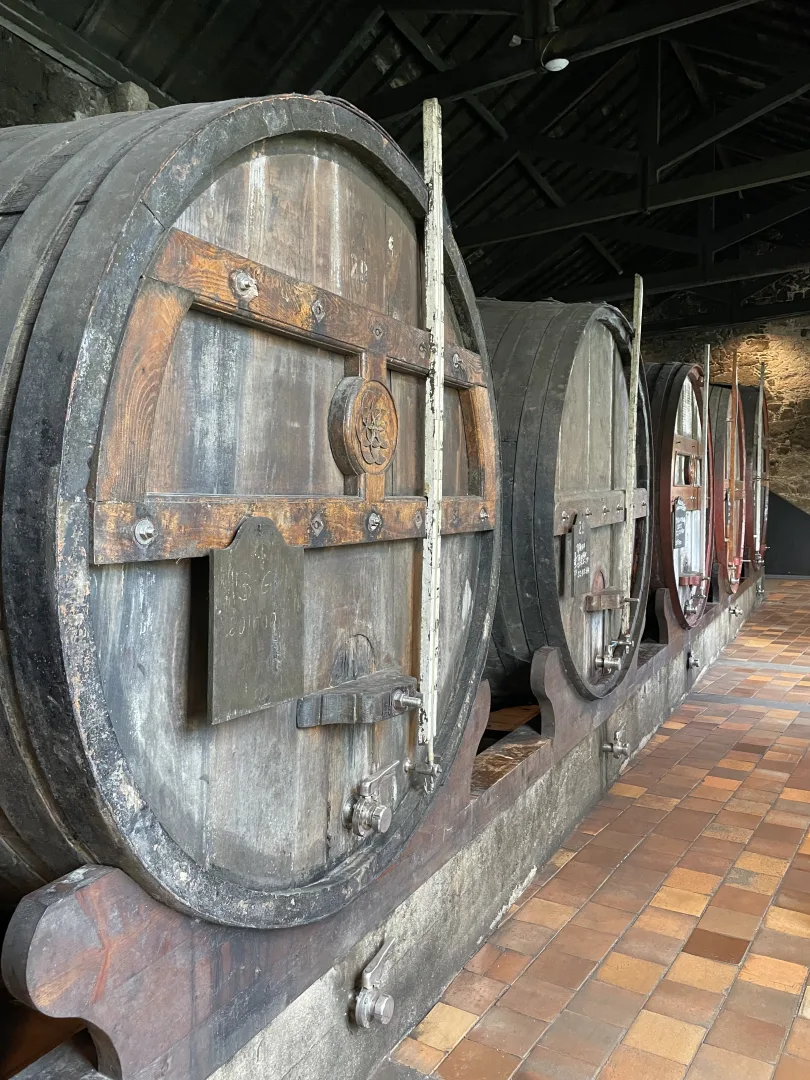 foudres Burmester