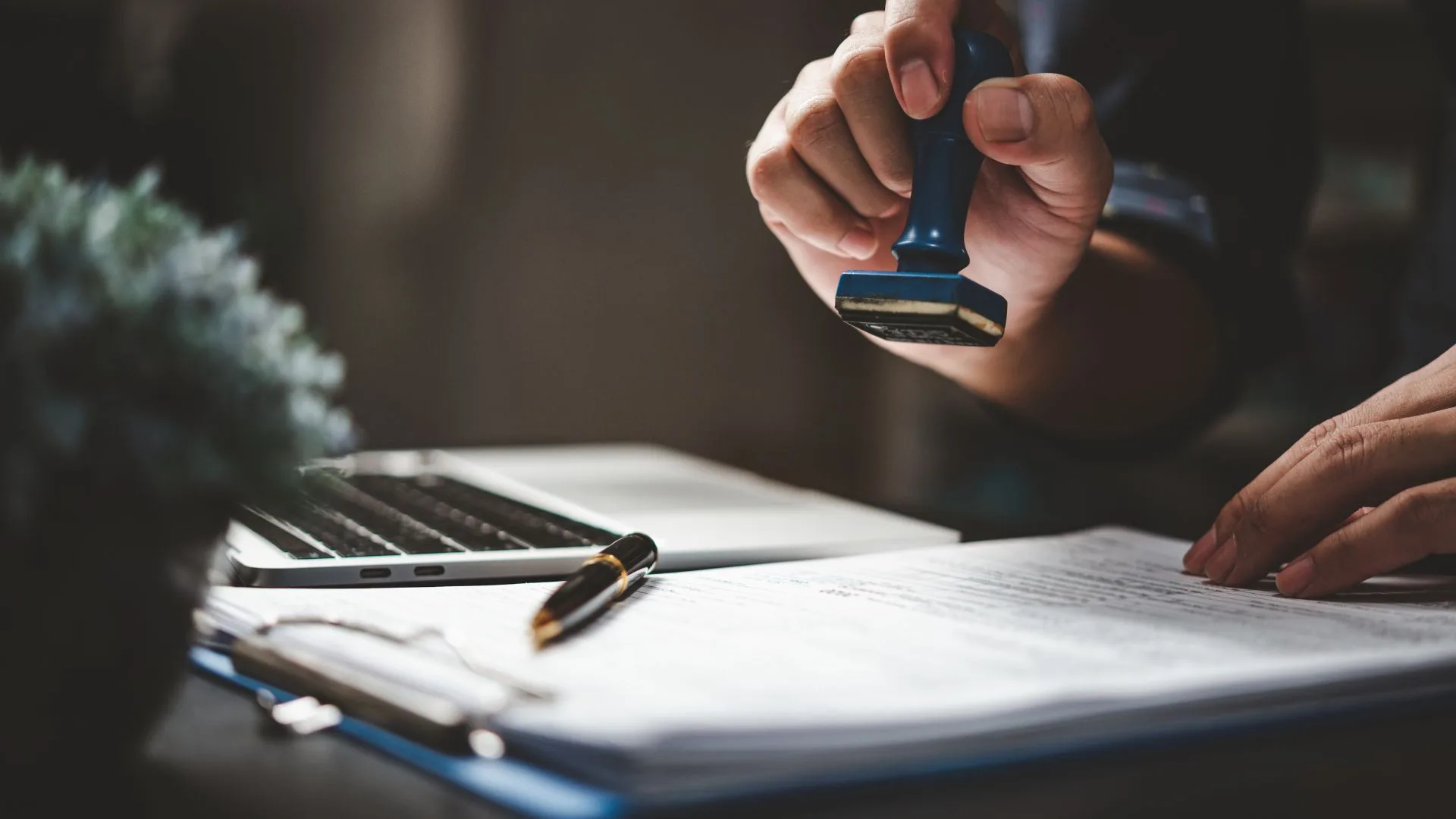 Permis international : comment l’avoir et à quoi ça sert